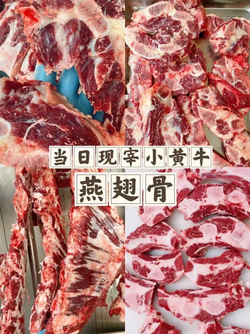 燕翅骨，实力商家，一首货源价格便宜，支持样品，全国发货