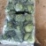 甘肃临洮高原甘蓝大量上市