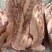 带皮五花肉条10吨新货