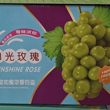 陕西阳光玫瑰，糖度高，价格合理，质量三包支持代发，电商货