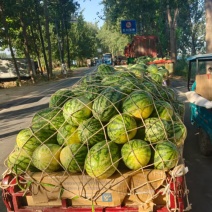 精品绿裳西瓜大量供应品质保证一手货源欢迎老板来电