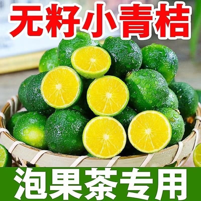 无籽小青桔非海南金桔2025年新货一件代发