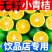 无籽小青桔非海南金桔2025年新货一件代发