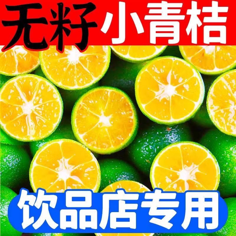 无籽小青桔非海南金桔2025年新货一件代发