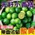 无籽小青桔非海南金桔2025年新货一件代发