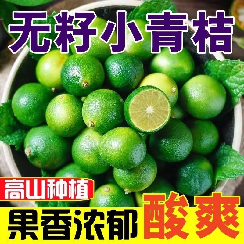 无籽小青桔非海南金桔2025年新货一件代发