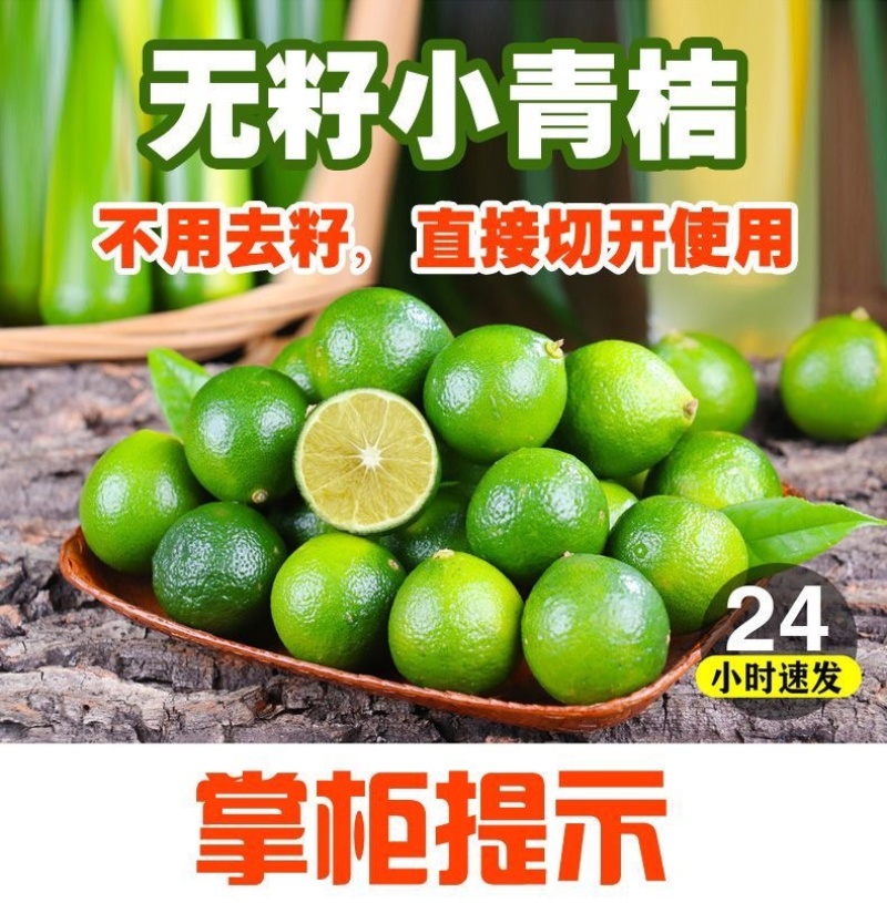 无籽小青桔非海南金桔2025年新货一件代发