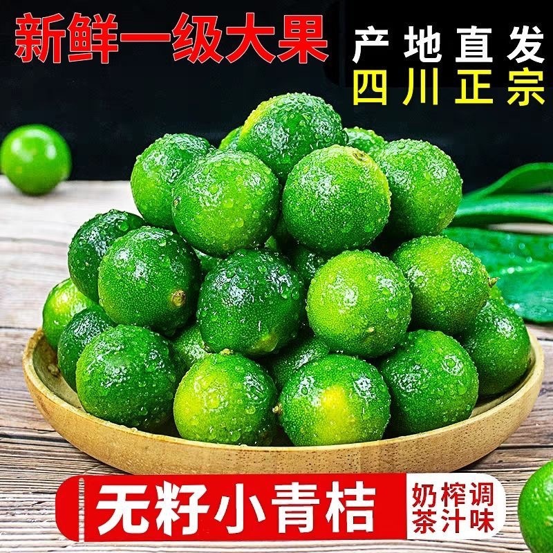 无籽小青桔非海南金桔2025年新货一件代发
