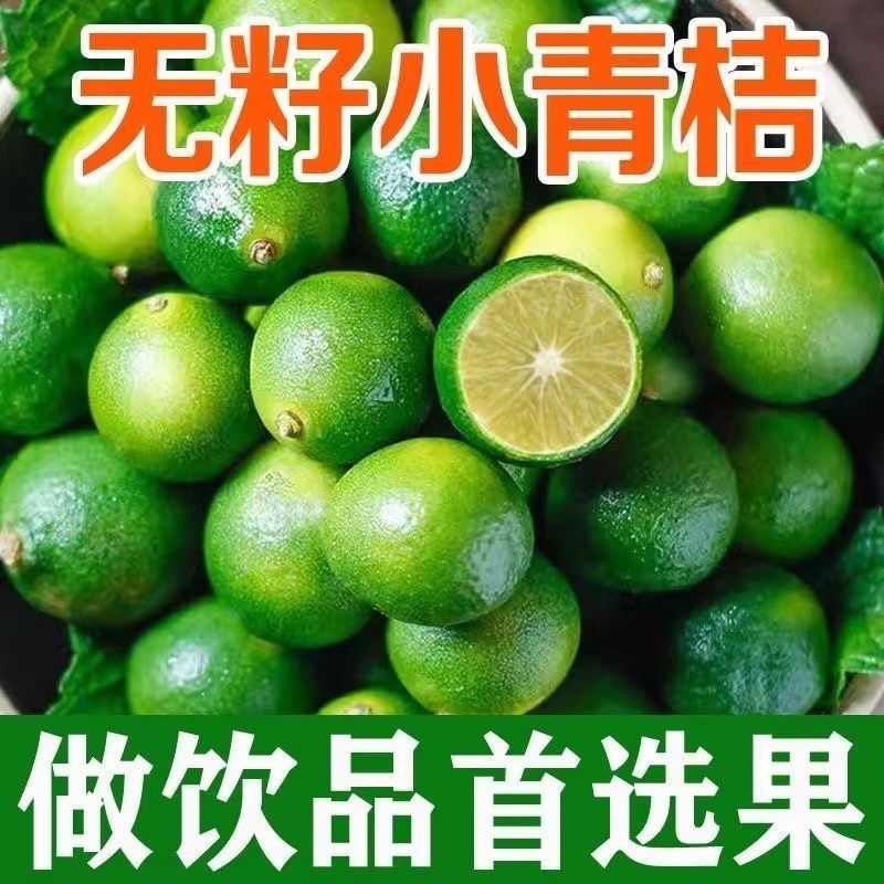无籽小青桔非海南金桔2025年新货一件代发
