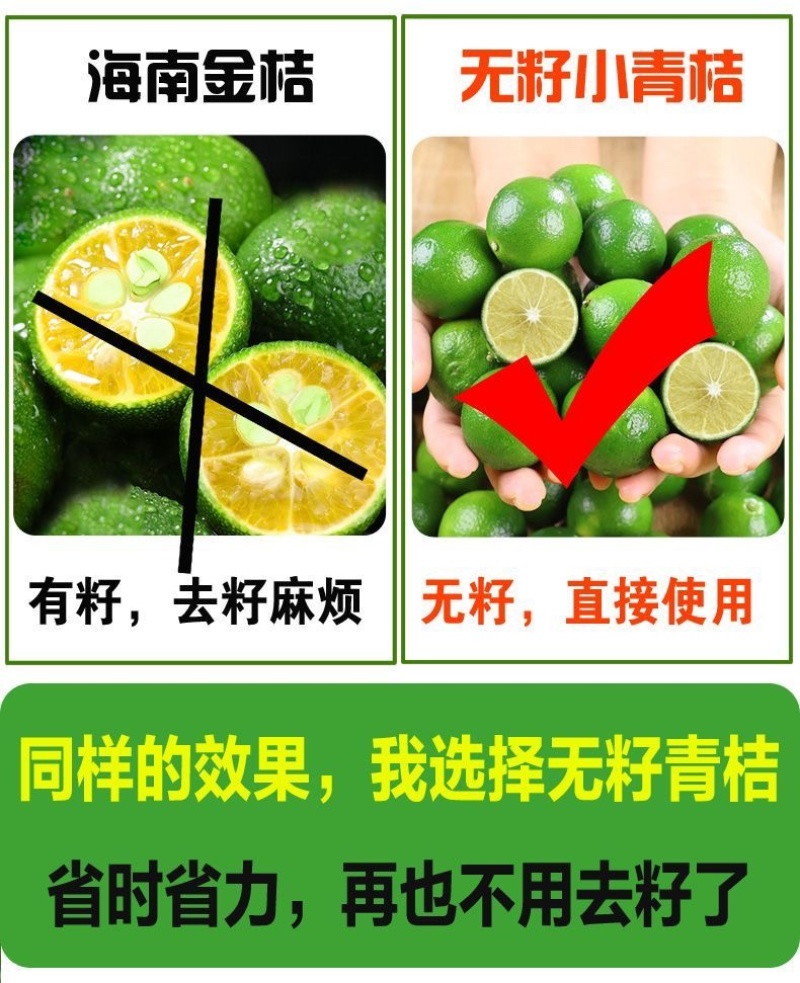 无籽小青桔非海南金桔2025年新货一件代发
