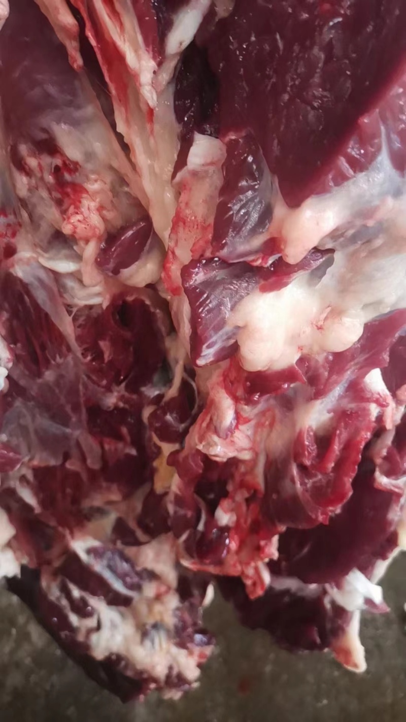 生驴肉厂家直发品质保证欢迎老板进店选购