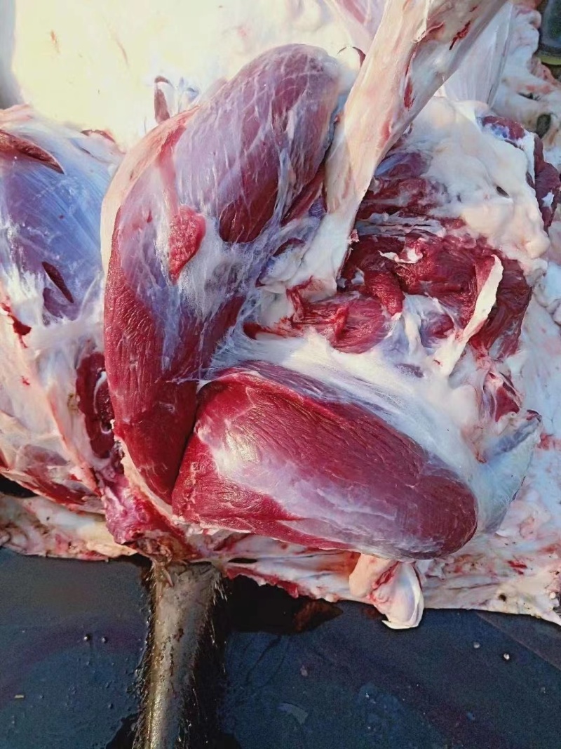 生驴肉厂家直发品质保证欢迎老板进店选购