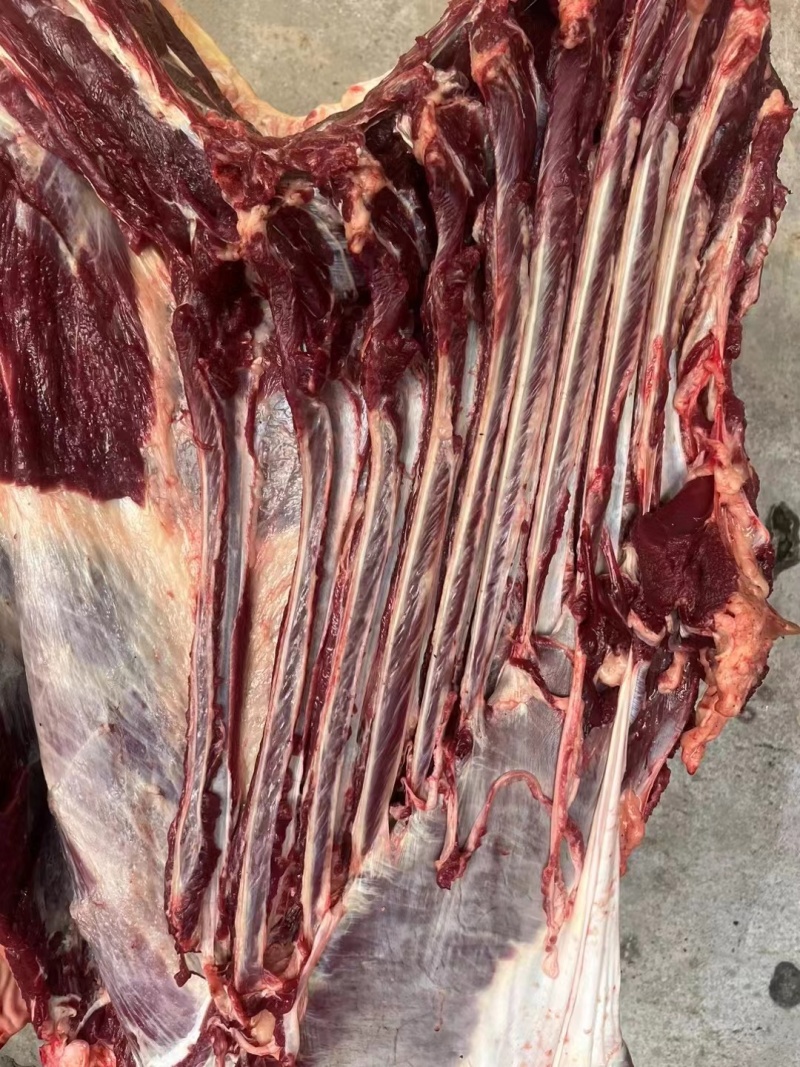 生驴肉厂家直发品质保证欢迎老板进店选购