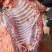 生驴肉厂家直发品质保证欢迎老板进店选购