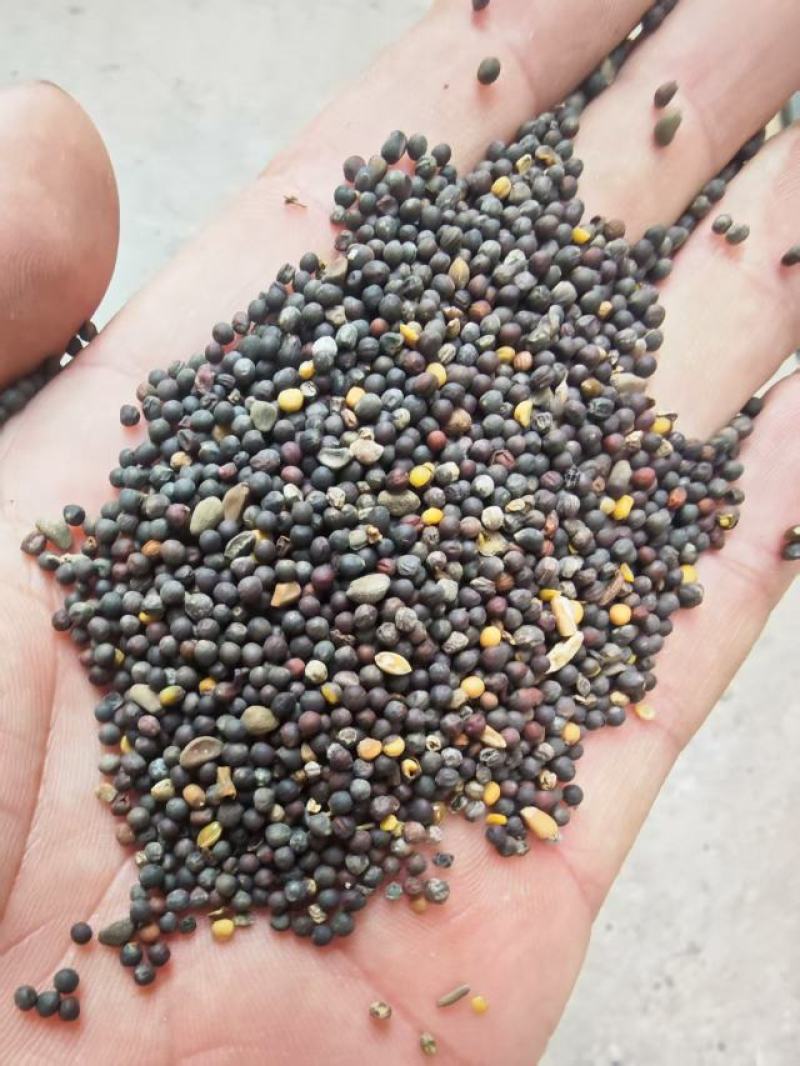 菜籽下角料