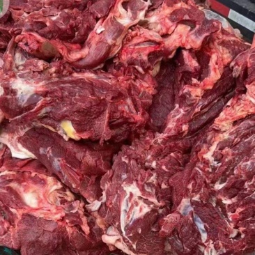 生驴肉厂家直发可一件代发品质保证欢迎进店选购