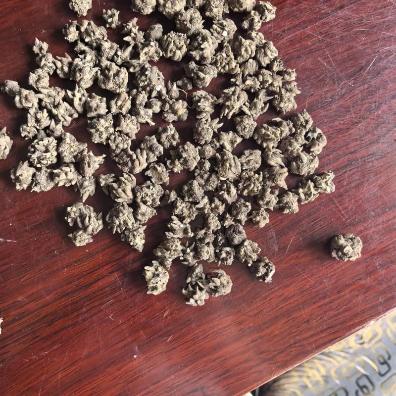 猫爪草，常年供应，收购，质量至上，诚信经营，服务第一