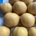 新玉梨砀山套袋圆黄梨货源直采电商商超市场代发
