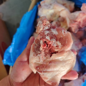 后筒骨尖新鲜带肉率高，带骨髓，带筋头