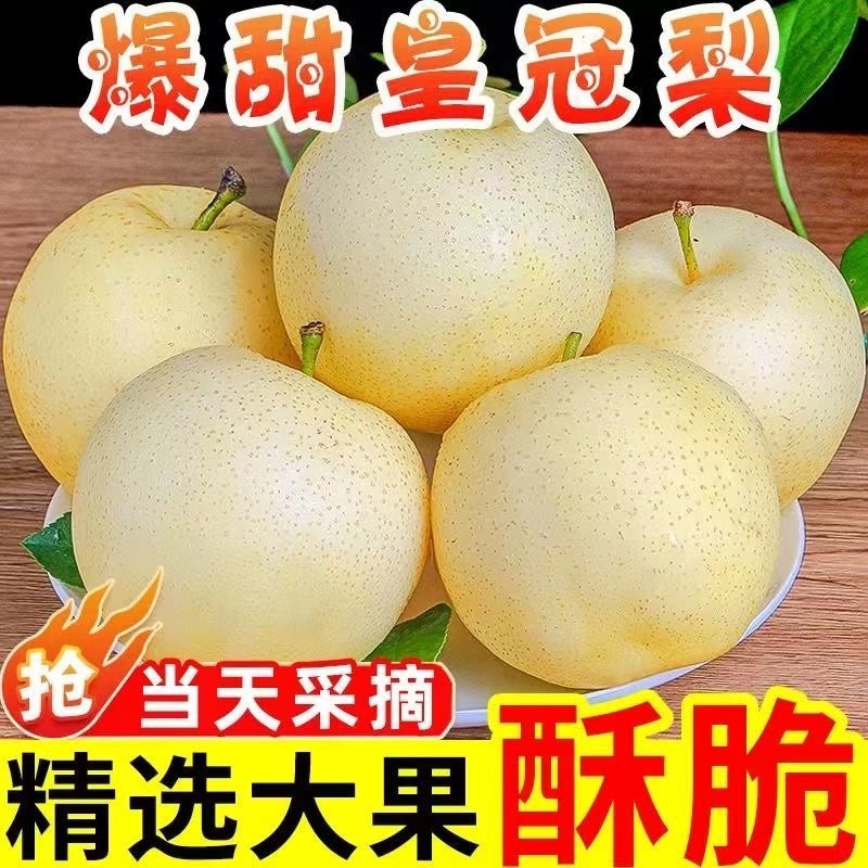 河北皇冠梨电商一件代发