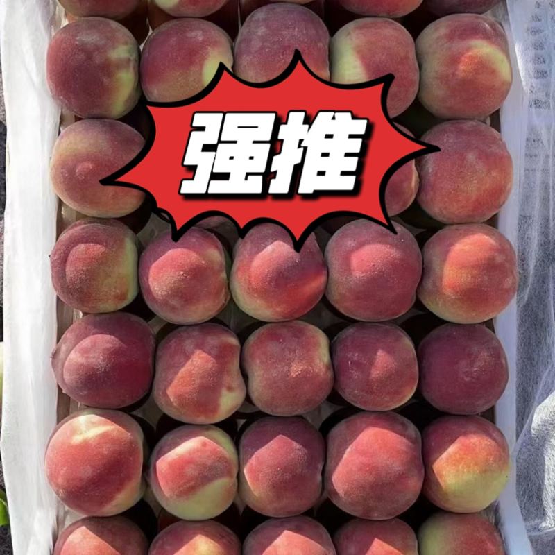 青州离核蜜桃大量上市对接电商平台市场一件代发