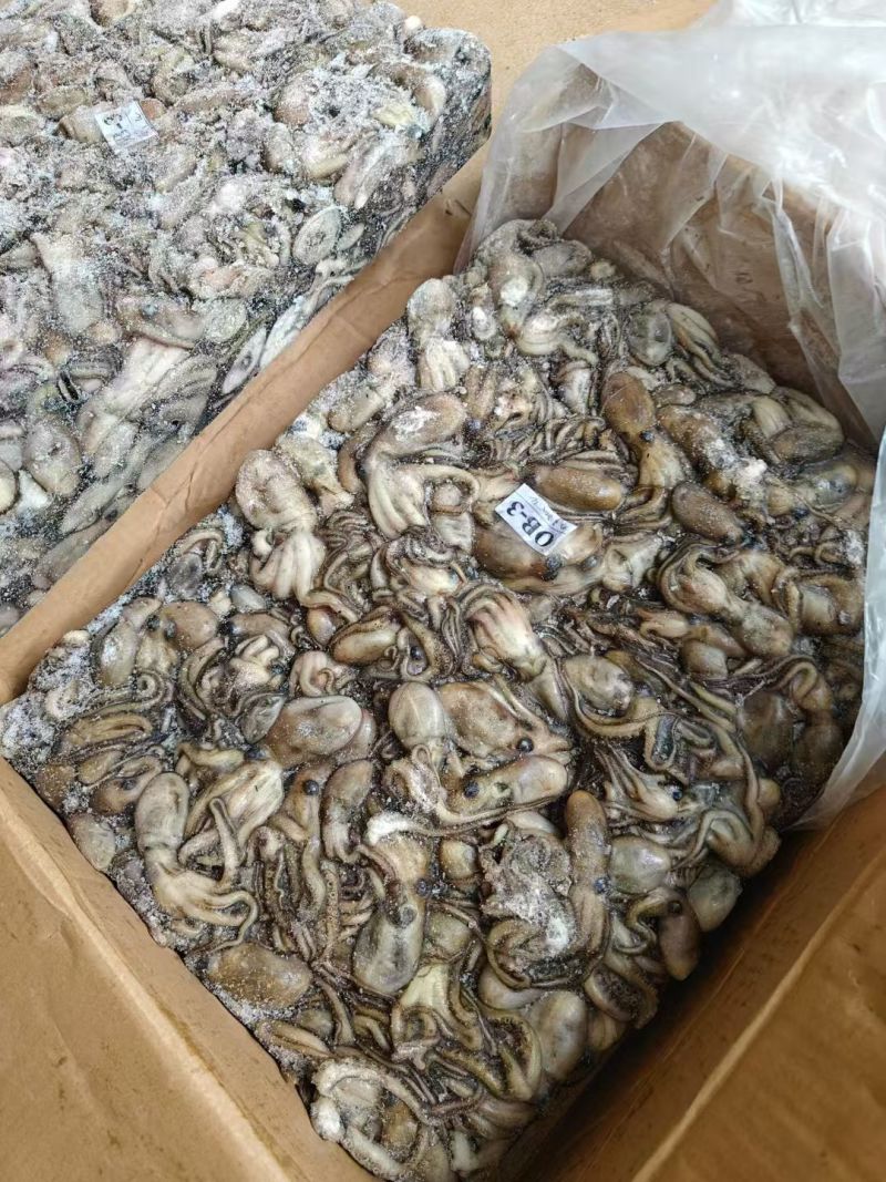干水船冻小八爪鱼小章鱼