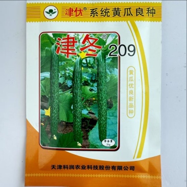 津冬209黄瓜种子，刺密，把短，肉质翠绿，口感清香脆甜