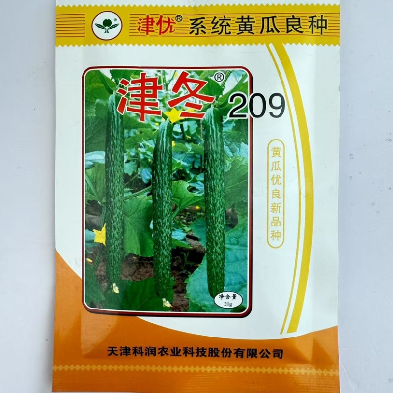 津冬209黄瓜种子，刺密，把短，肉质翠绿，口感清香脆甜