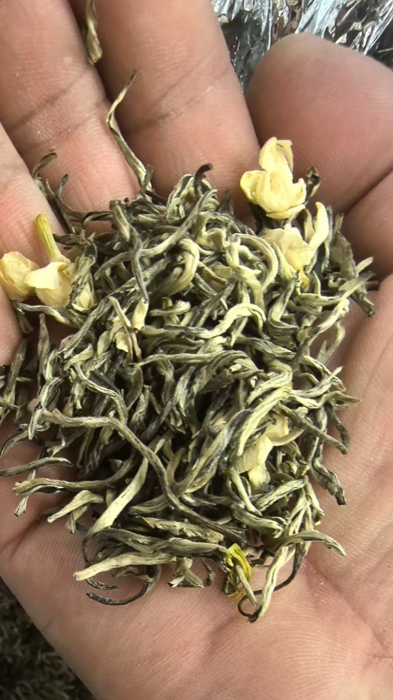 一口清新，精品茉莉花茶叶，产地直发，对接电商，一件代发