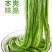 商用无叶贡菜特级贡菜干批发5至10斤苔干火锅专用一整箱