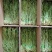 商用无叶贡菜特级贡菜干批发5至10斤苔干火锅专用一整箱