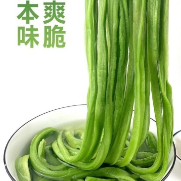 商用无叶贡菜特级贡菜干批发5至10斤苔干火锅专用一整箱