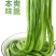 商用无叶贡菜特级贡菜干批发5至10斤苔干火锅专用一整箱