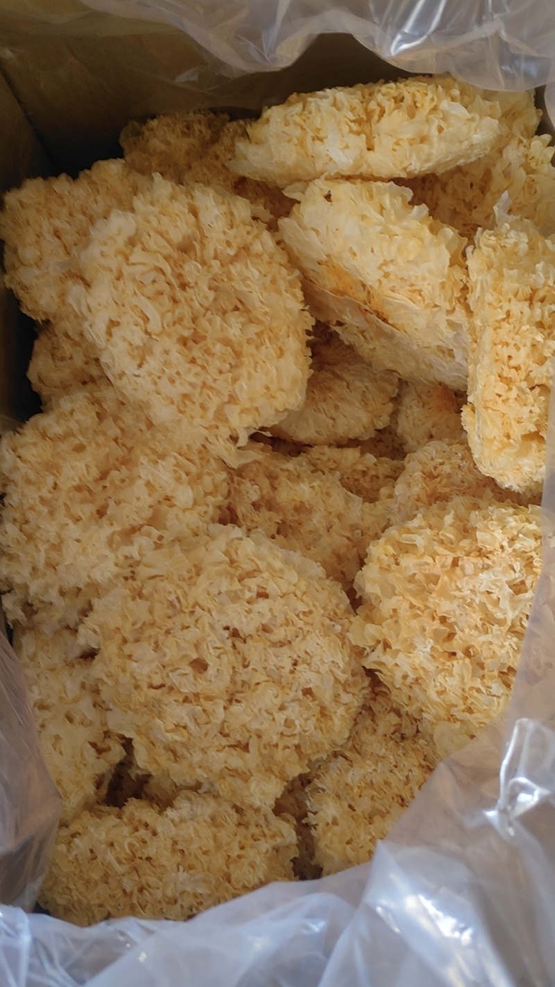 新货大花银耳热卖中
