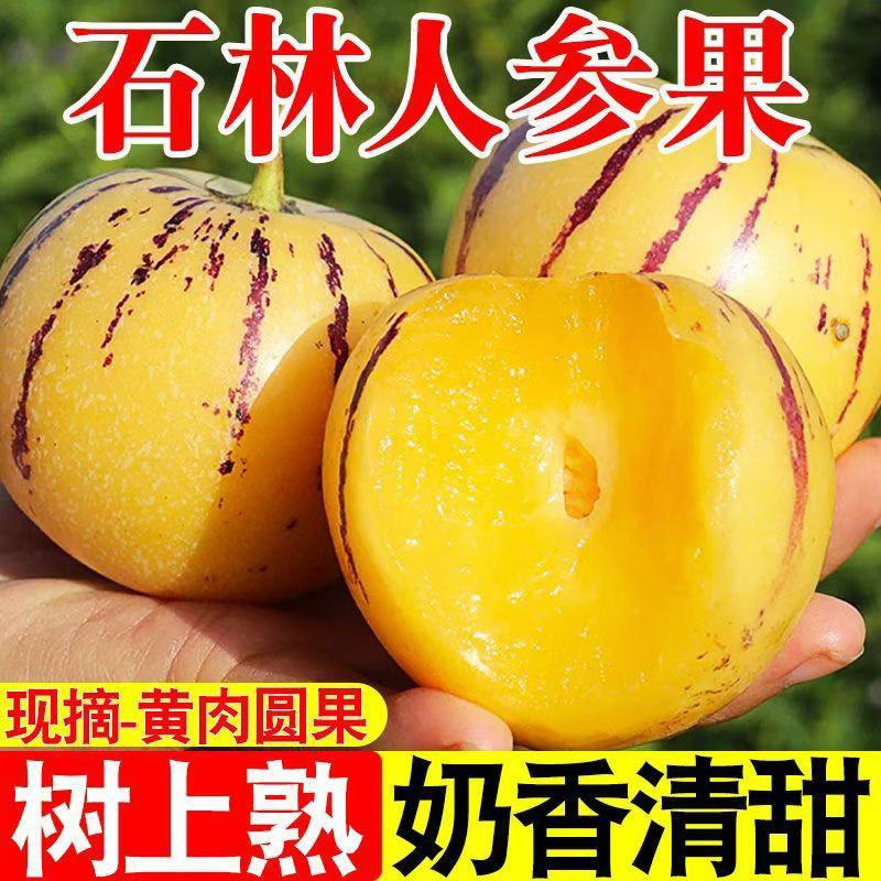 热卖人参果对接市场商超电商加工厂
