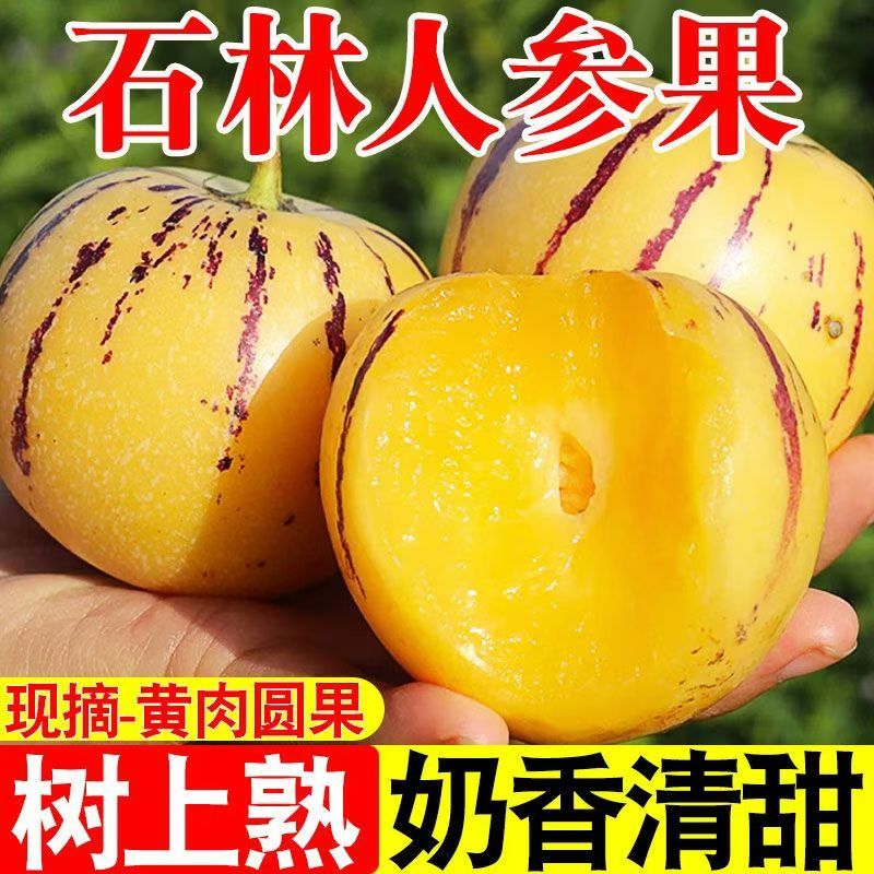 热卖人参果对接市场商超电商加工厂