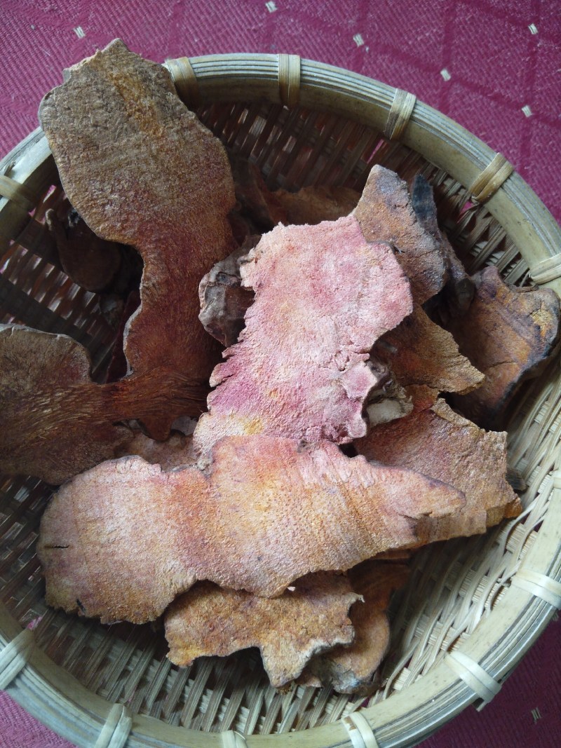 土茯苓（木质）煲汤煮水