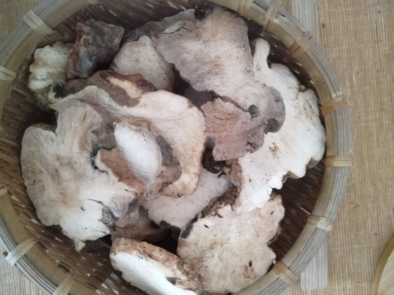 土茯苓（粉质）煲汤煮水