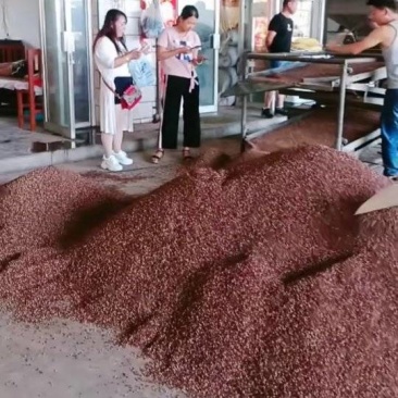 出售花椒