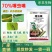 70%噻虫嗪棉花苗期蚜虫种子处理可分散粉剂噻虫嗪正品