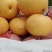 园黄梨