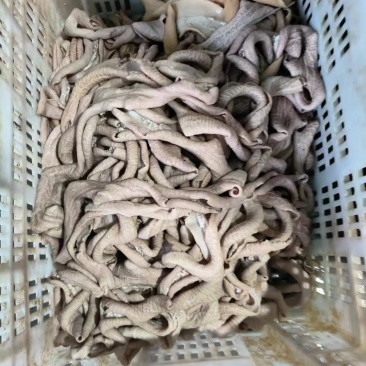 牛小肠