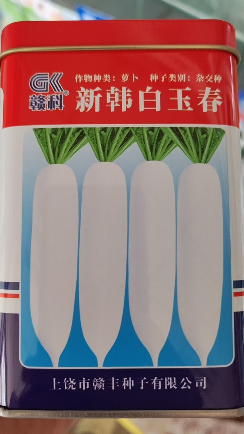 长白萝卜种子雪玉春萝卜种子花叶薄皮不易青头