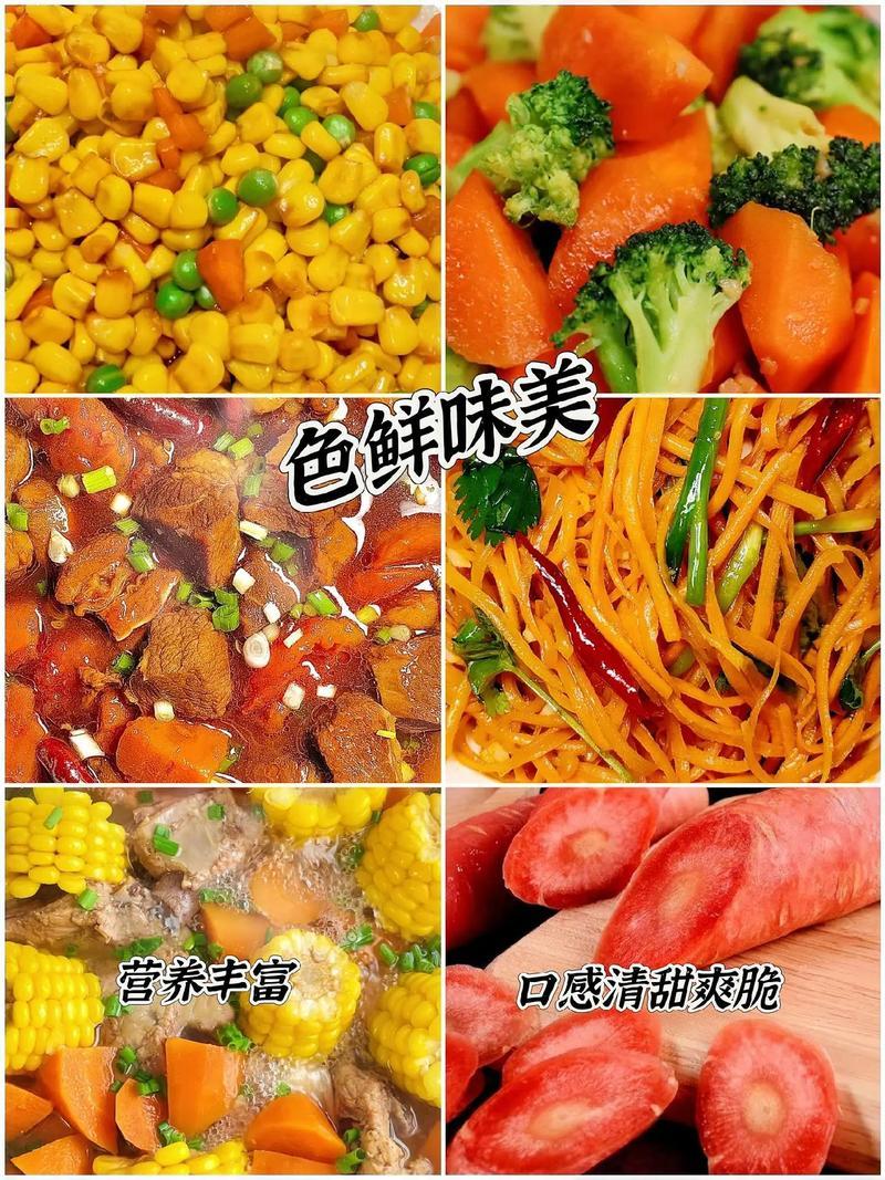 开封胡萝卜大量上市三红胡萝卜可视频看货带泥胡萝卜