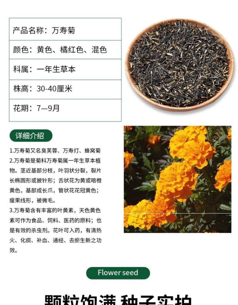万寿菊种子四季易养活厂家直销耐旱耐热