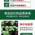 万寿菊种子四季易养活厂家直销耐旱耐热