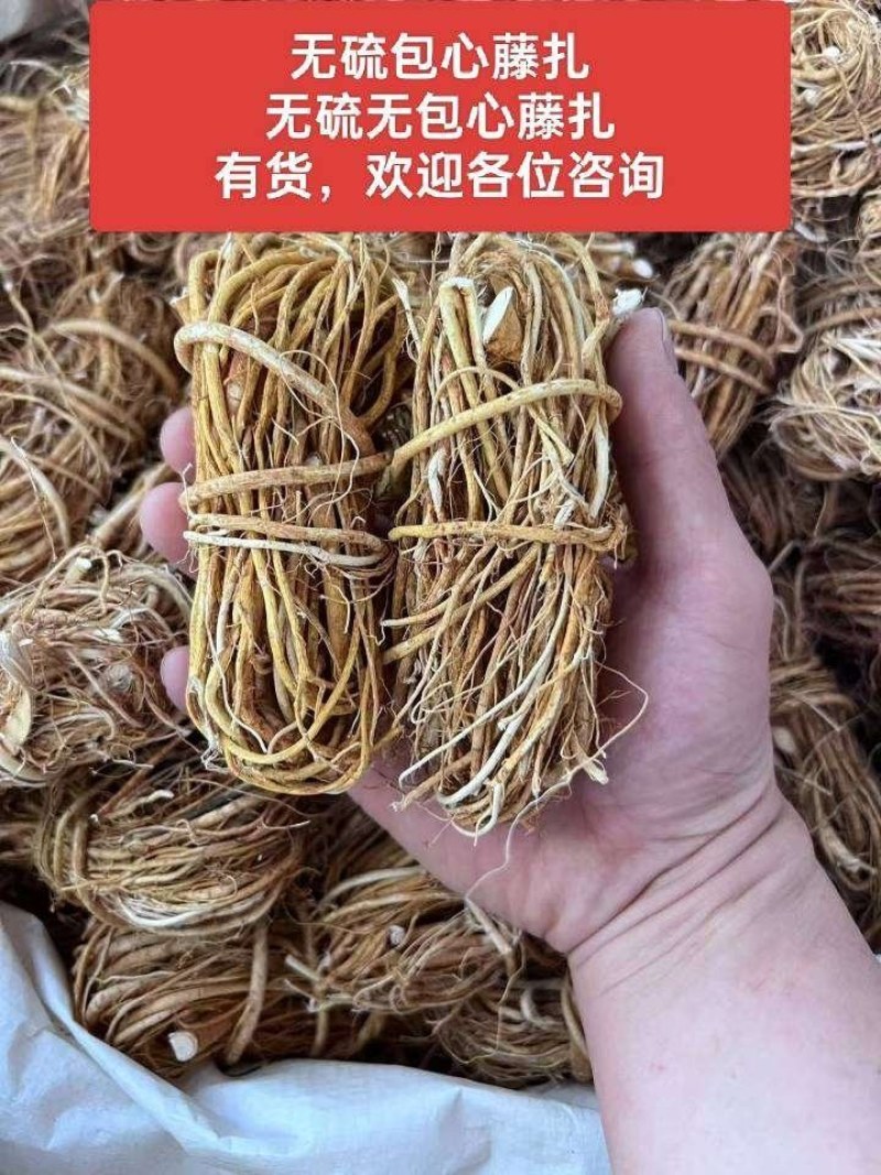 全国供应·长期供货·正品保障·优质五指毛桃·