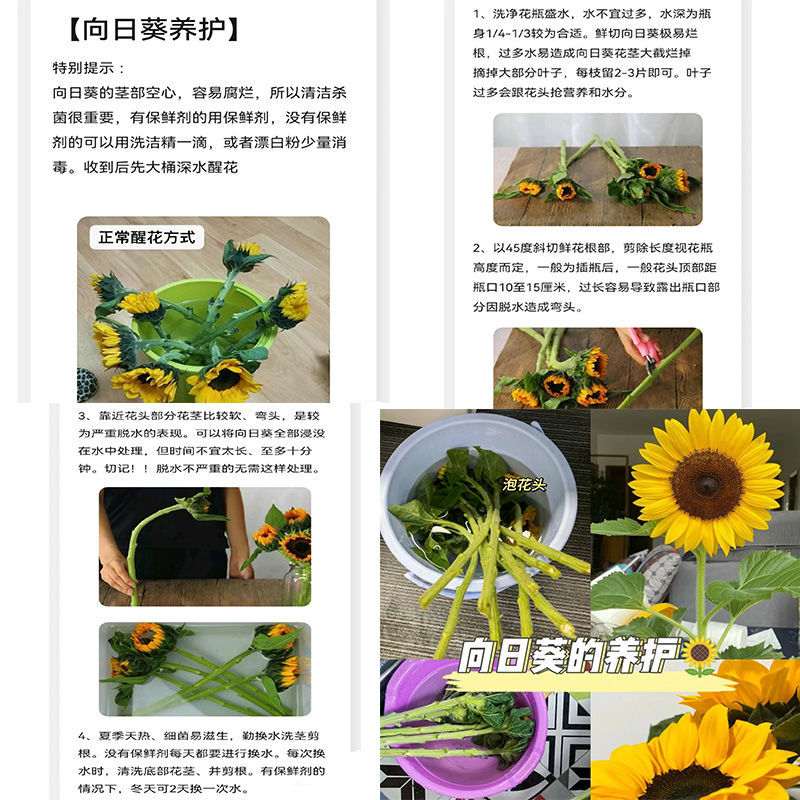 百合向日葵鲜花家庭插花花束室内办公室插花云南基地直发混搭花束