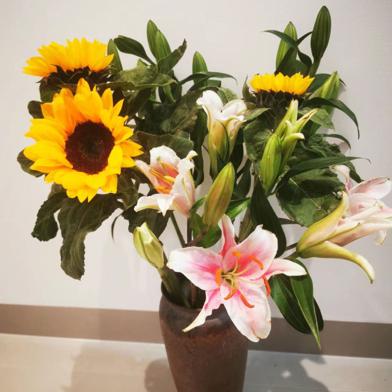 百合向日葵鲜花家庭插花花束室内办公室插花云南基地直发混搭花束
