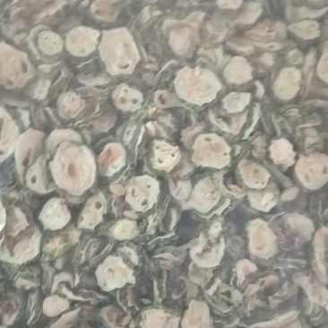 冬瓜皮，苦瓜片